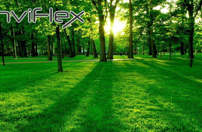 EnviFlexLit
